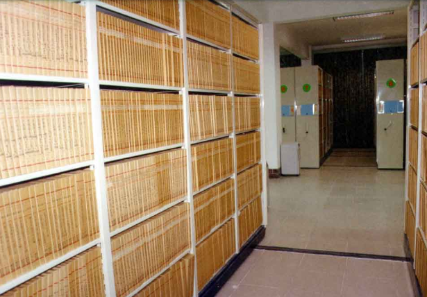 91香蕉视频网站,檔案信息管理