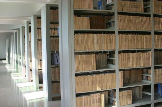 香蕉视频成人在线观看,數字檔案館,檔案數字化