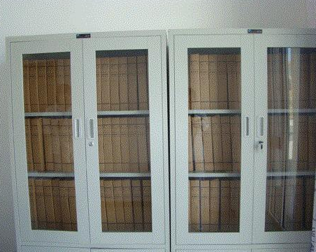 香蕉视频成人在线观看,檔案整理,檔案資料錄入